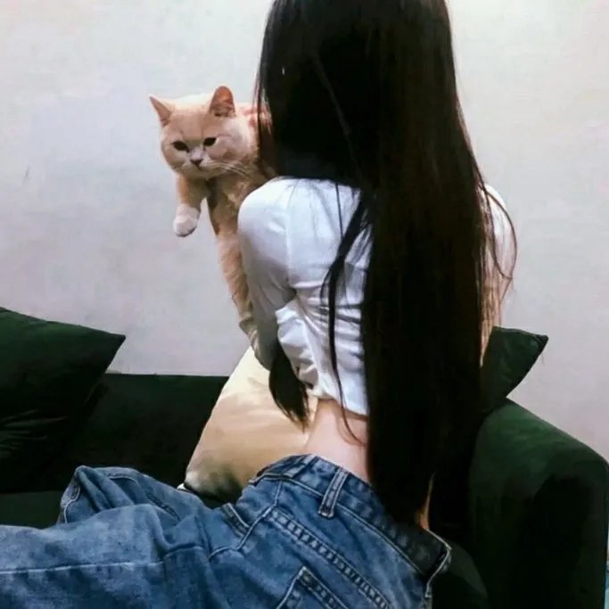 合适婚姻